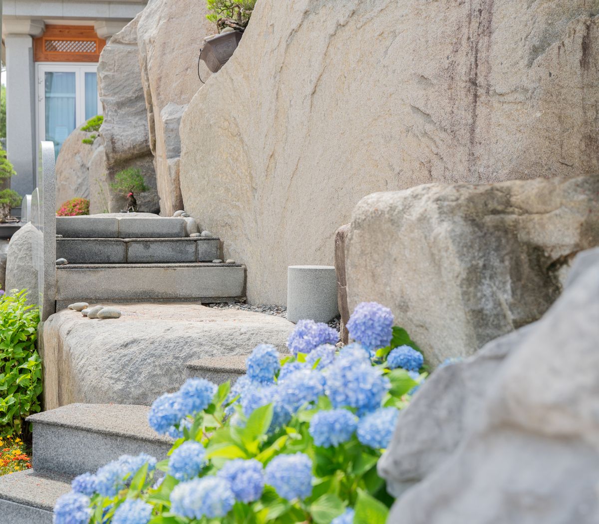 월명동 힐링코스 상징솔 - 북편 돌조경 따라 펼쳐지는 소나무 산책로