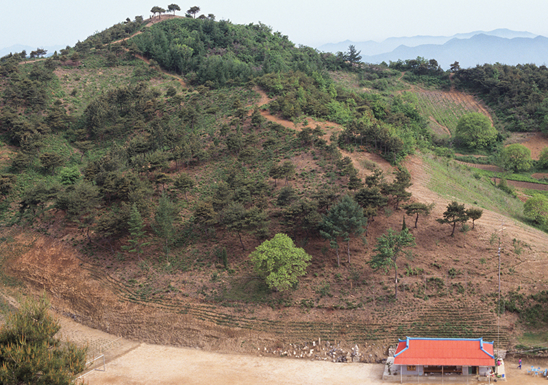 자연성전 조성 전 월명동에 남아 있던 정명석 목사 가족의 옛 집터 풍경