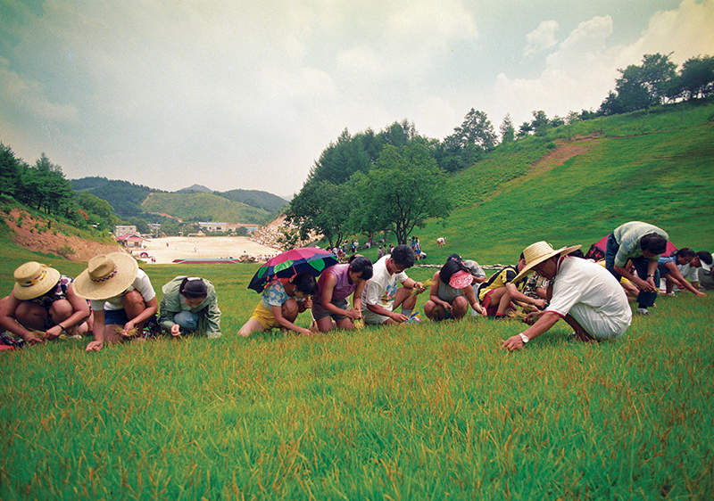 월명동 자연성전 조성 초기 단계, 잔디밭을 작업하는 정명석 목사와 제자들