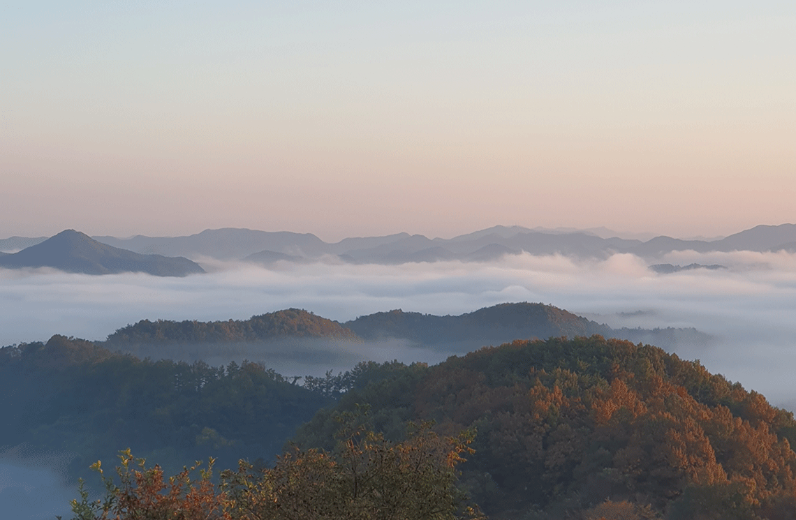 짙은 안개 속에서 보이는 월명동 자연성전 별봉의 산 능선