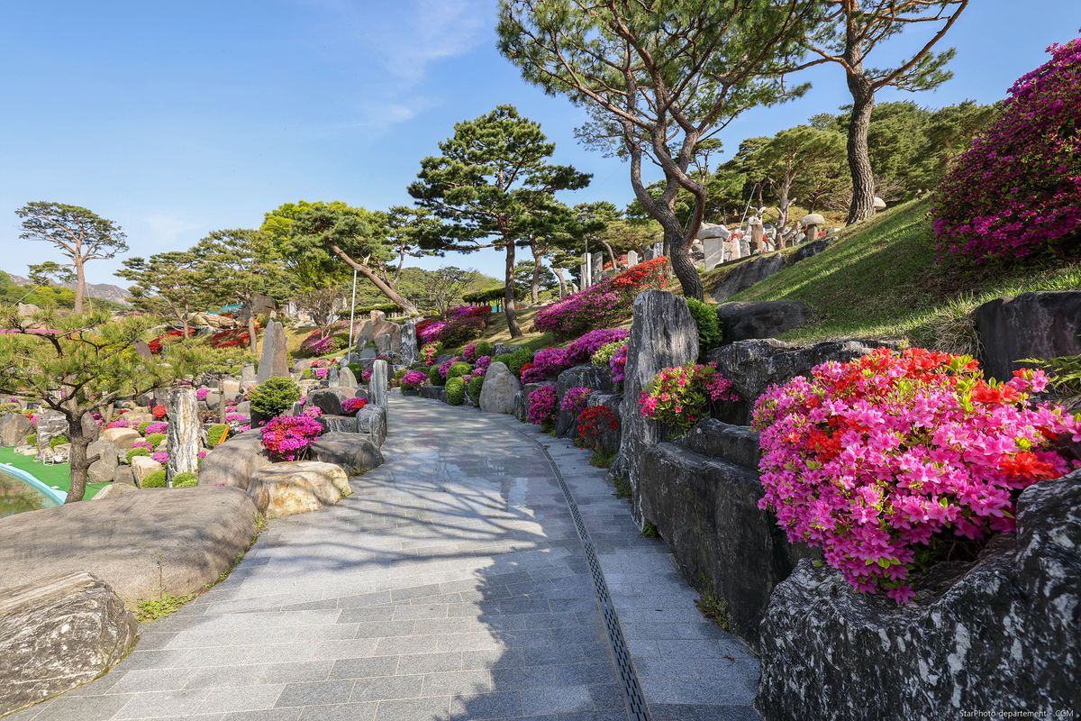 다양한 봄꽃이 피어난 월명동 자연성전 산책로 풍경